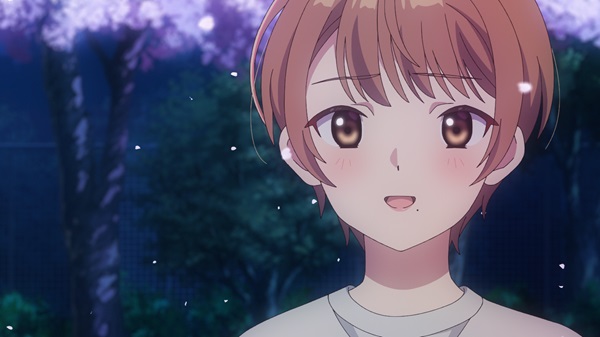 恋は双子で割り切れない