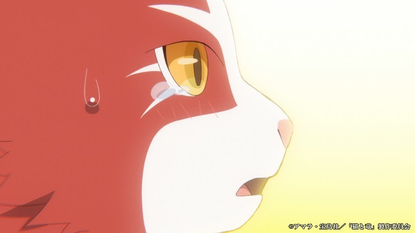 猫と竜