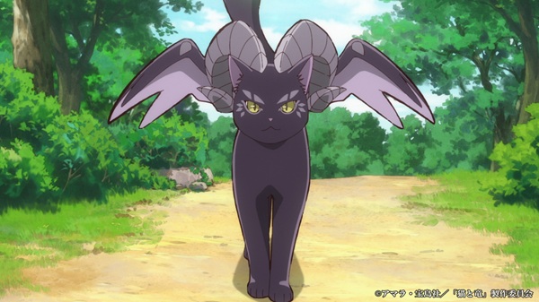 猫と竜