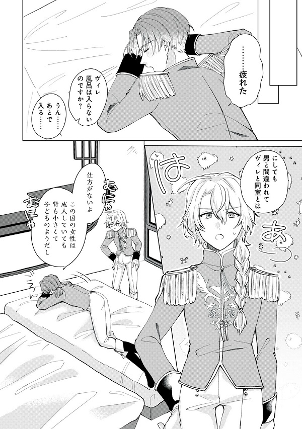 彗星乙女後宮伝